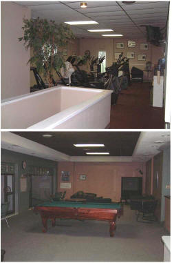 sshineRquet_big.jpg (96490 bytes)